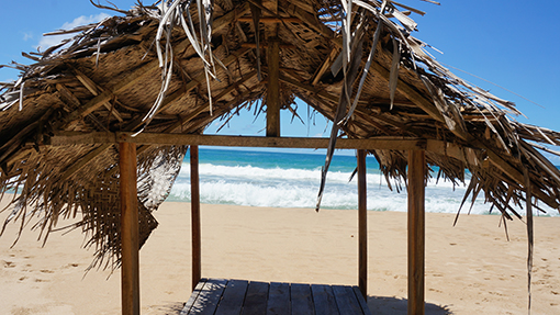 palm hut beach